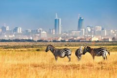 Nairobi-National-Park-700x450-2