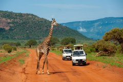 Tsavo-National-Park